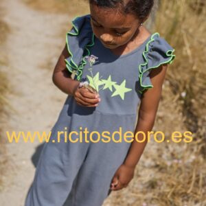 MONO GRIS AURORA BOREAL de LA MARTINICA, verano 2026